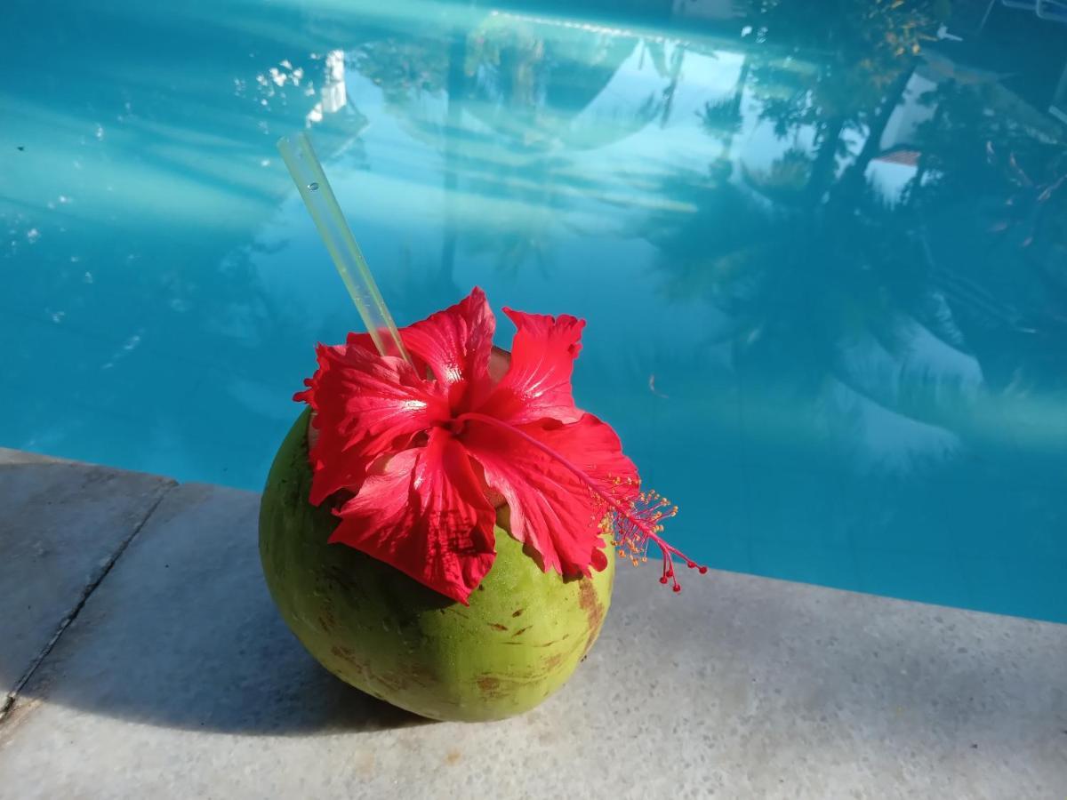 Exclusive Guest House ปอร์โต จิ กาลินญาส ภายนอก รูปภาพ